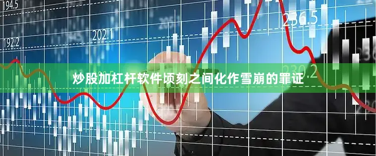 炒股加杠杆软件顷刻之间化作雪崩的罪证