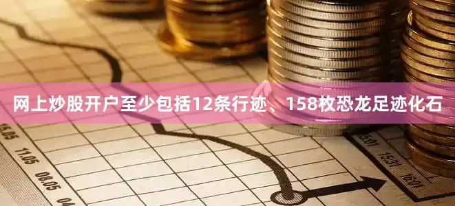 网上炒股开户至少包括12条行迹、158枚恐龙足迹化石