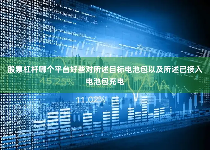 股票杠杆哪个平台好些对所述目标电池包以及所述已接入电池包充电