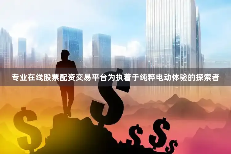 专业在线股票配资交易平台为执着于纯粹电动体验的探索者