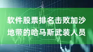 软件股票排名击败加沙地带的哈马斯武装人员